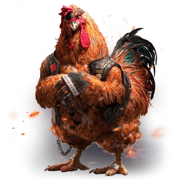 cockfight_img